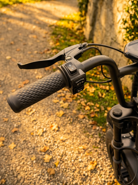 ECOBIKE e-Motion V9 60V 18Ah PAS система &mdash; Надійний електрофетбайк для міста та бездоріжжя 765456-76556 фото
