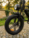 ECOBIKE e-Motion V9 60V 18Ah PAS система &mdash; Надійний електрофетбайк для міста та бездоріжжя 765456-76556 фото 2
