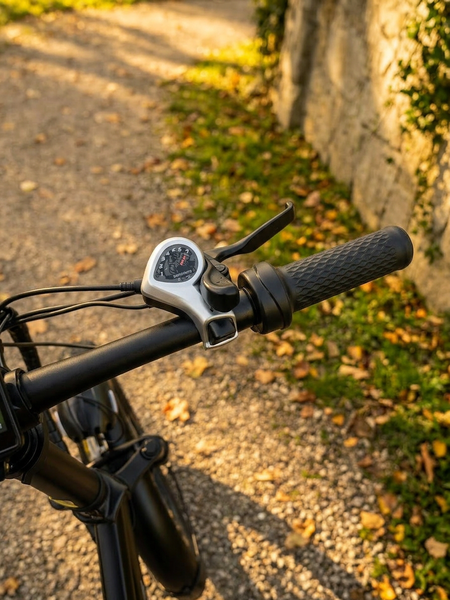 НОВИНКА 2026! Електровелосипед|Фетбайк| EVOBIKE Storm V8 1000W Black 9878887654 фото
