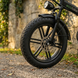 НОВИНКА 2026! Електровелосипед|Фетбайк| EVOBIKE Storm V8 1000W Black 9878887654 фото 2