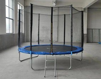Батут FunFit 252 см з захисною сіткою та драбиною 33-33 фото
