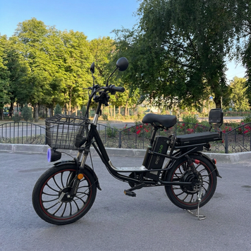 Электровелосипед EVOBIKE X-City U20 Pro 20" 800W  18Ah 48W двойная амортизация с раскладным сиденьем-багажником EVOBI1 фото