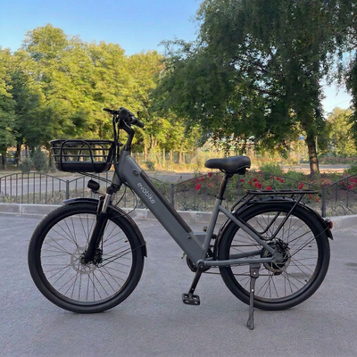EVOBIKE Vivo N1 2026 сірий &mdash; електровелосипед 600W 48V 13Ah 26" Vivo-N2 фото